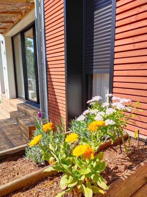 Notre Petite Maison La Rochelle  Exterior photo